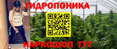 прущие крисы Ирбит